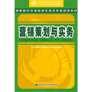 营销策划与实务 构建高效市场营销策划的框架与实践