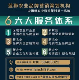 数字田野的耕耘之道 蓝狮策划互联网+农业市场的营销策略解析